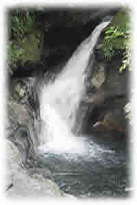 Trilhas e Cachoeiras na Ilhabela